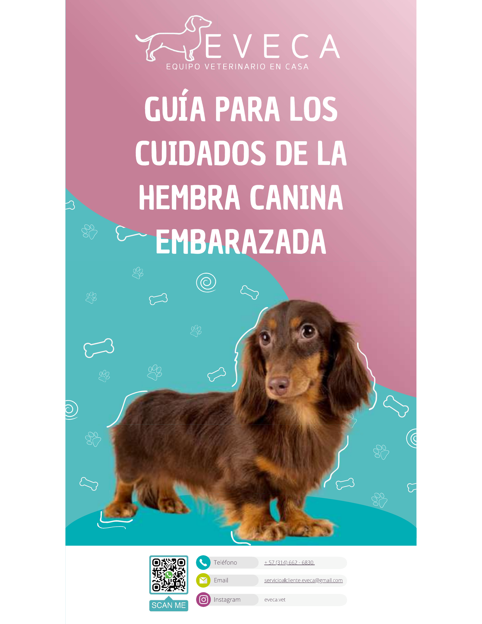 Guía Hembra Canina Embarazada